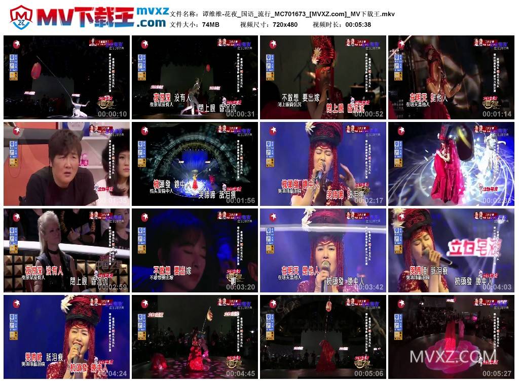 谭维维-花夜_国语_流行_MC701673